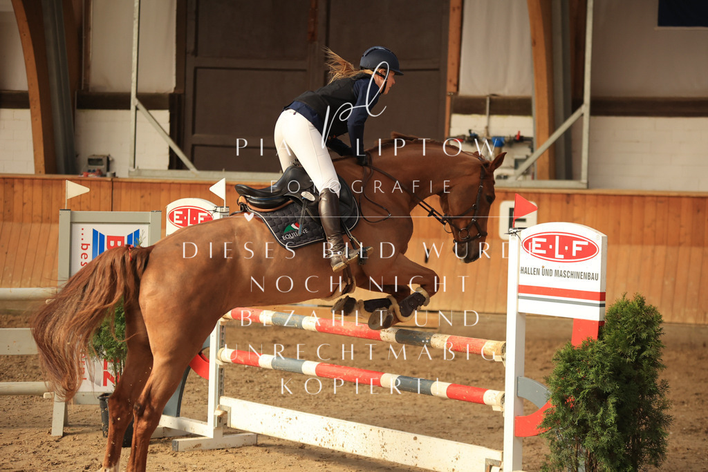 IMGT6331 | pl-fotografie