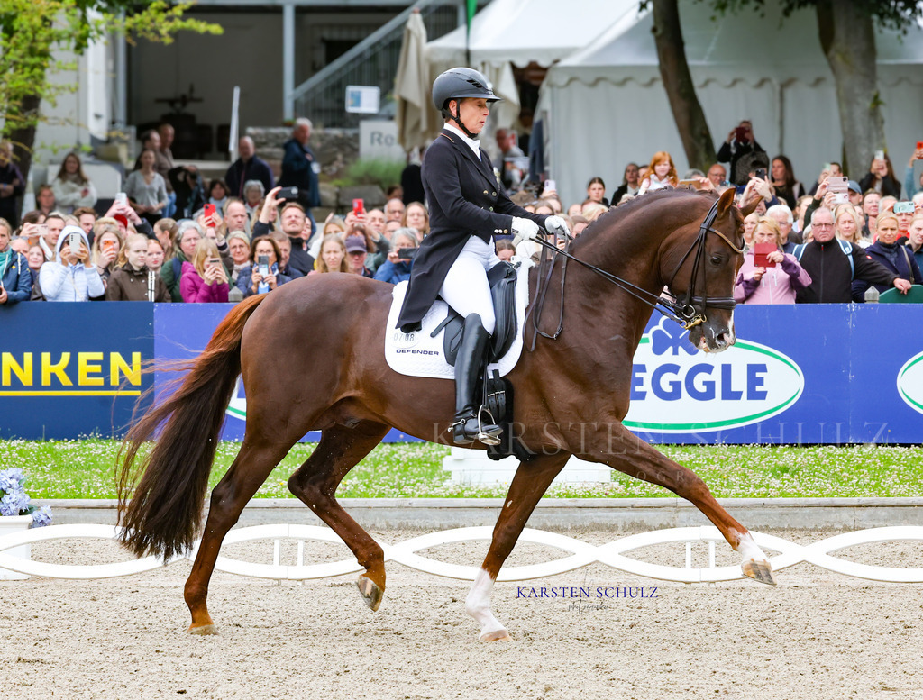 1B3A8271 | Reitsport Reiten