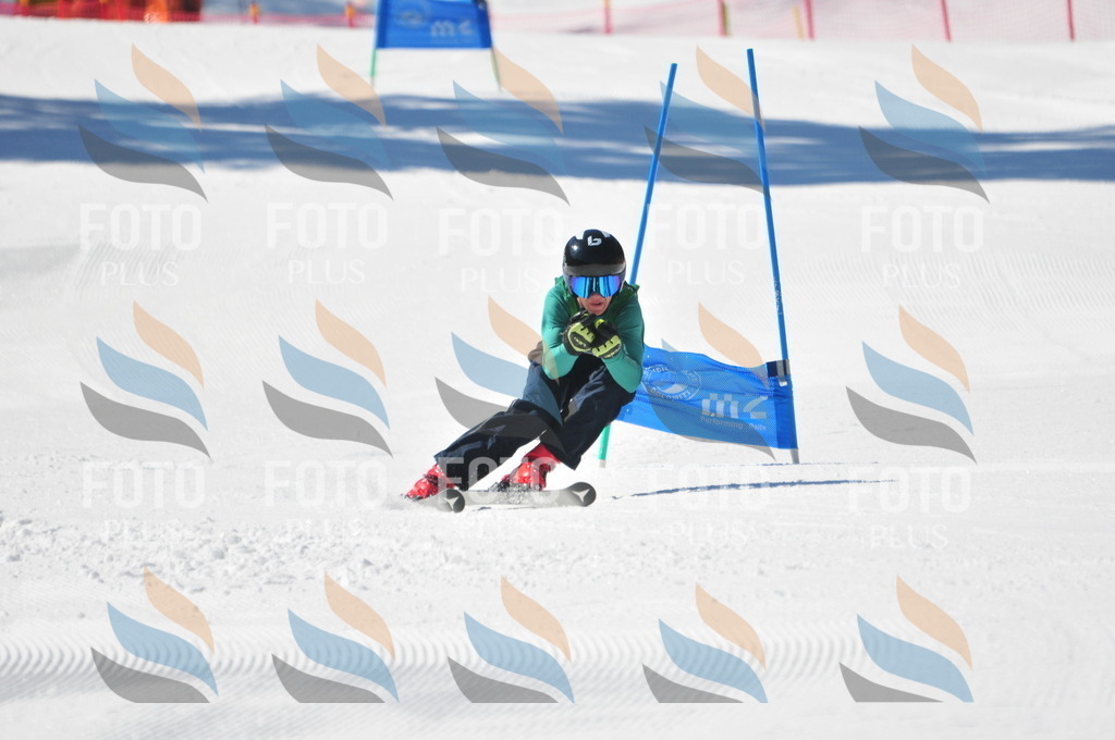 C3458 | holidayphoto