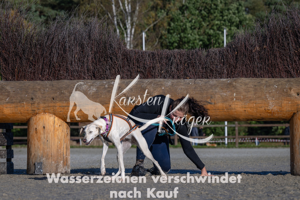1045-_ZZ92449 | kk-dogfotos