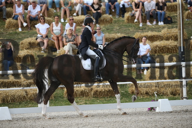 Birkhof_2022_GrandPrixSpecial_Jasmin Schaudt_Fano 3 (11) | Alle Fotos der Reiterjournal Fotografin Doris Matthaes im Reiterjournal Online-Fotoshop. - Realisiert mit Pictrs.com