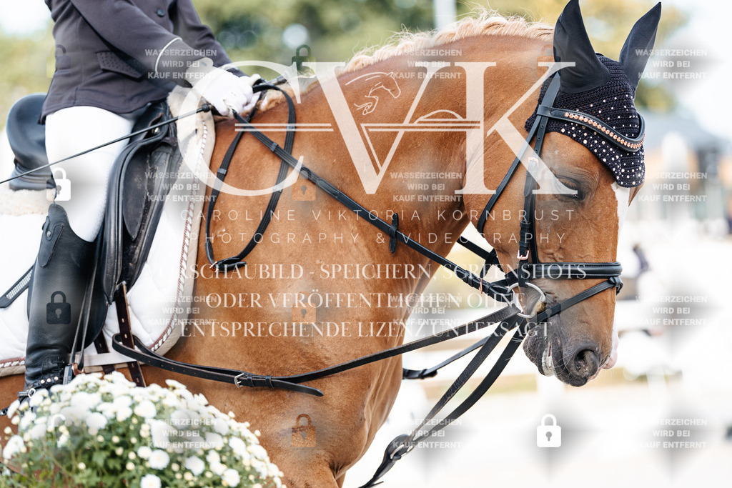 CK903684 | Turnierfotografie Pferdefotografie Trier Rheinland-Pfalz Pferdesport Reitsport Tierfotografie Sportfotografie Pferdevideo Pferdevideografie Equestrianvideography equestrianphotography  - Realisiert mit Pictrs.com