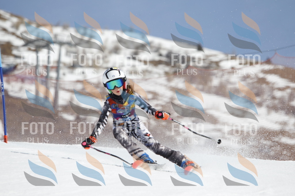 _U3G9979 | holidayphoto