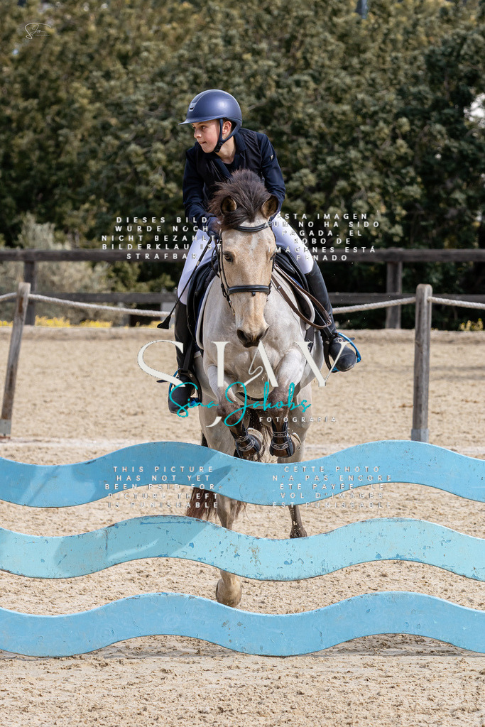 IMG_3707 | s-jay-photography - Realisiert mit Pictrs.com