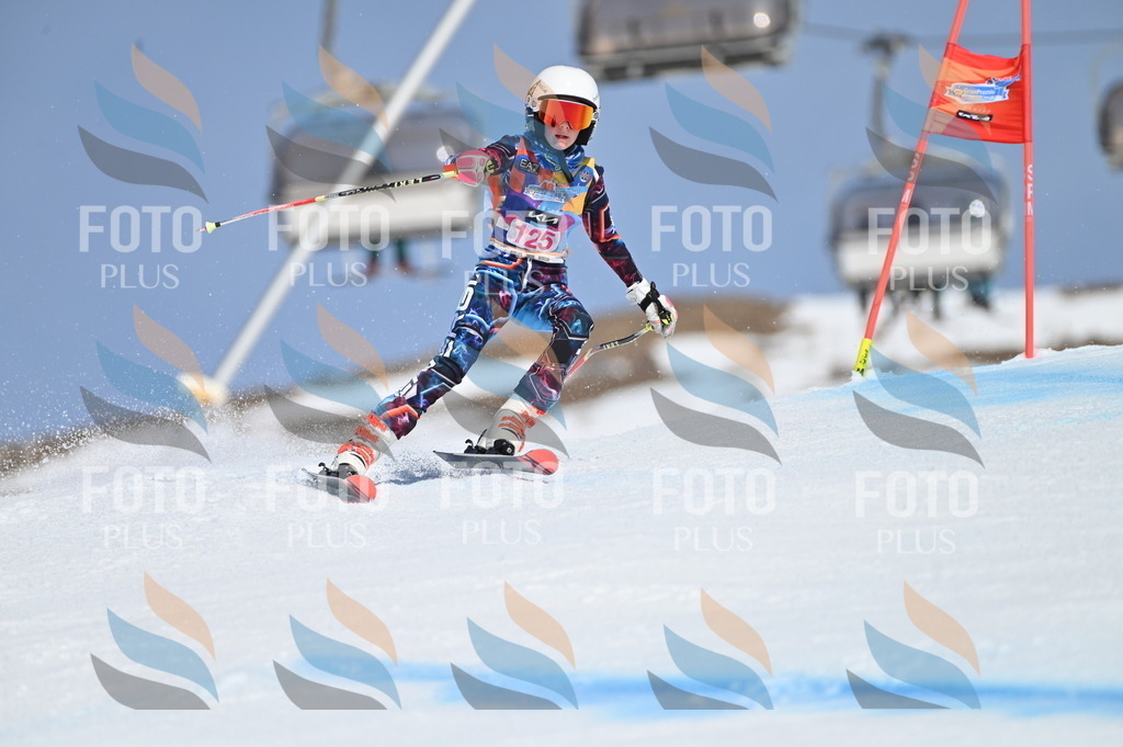 BGV_9895 | holidayphoto