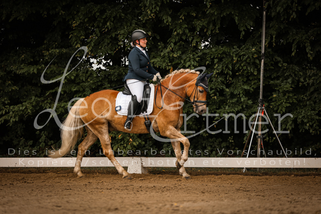 17.SoDrL00119 | Leoni Ertmer Photography - Realisiert mit Pictrs.com