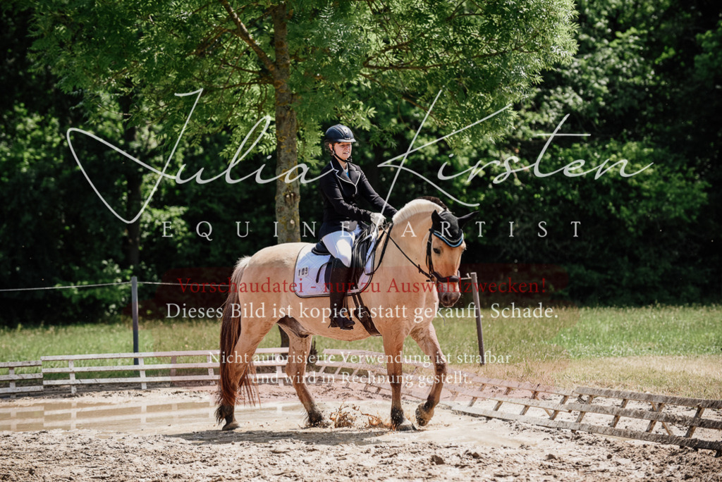 DSC_1653 | Pferde- und Turnierfotografie in Westsachsen. Pferdeportraits, Auftragszeichnungen und intuitive Kunst.
