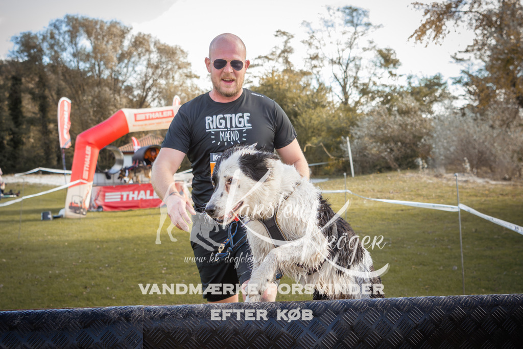 1323_ZZ90387-2 | kk-dogfotos