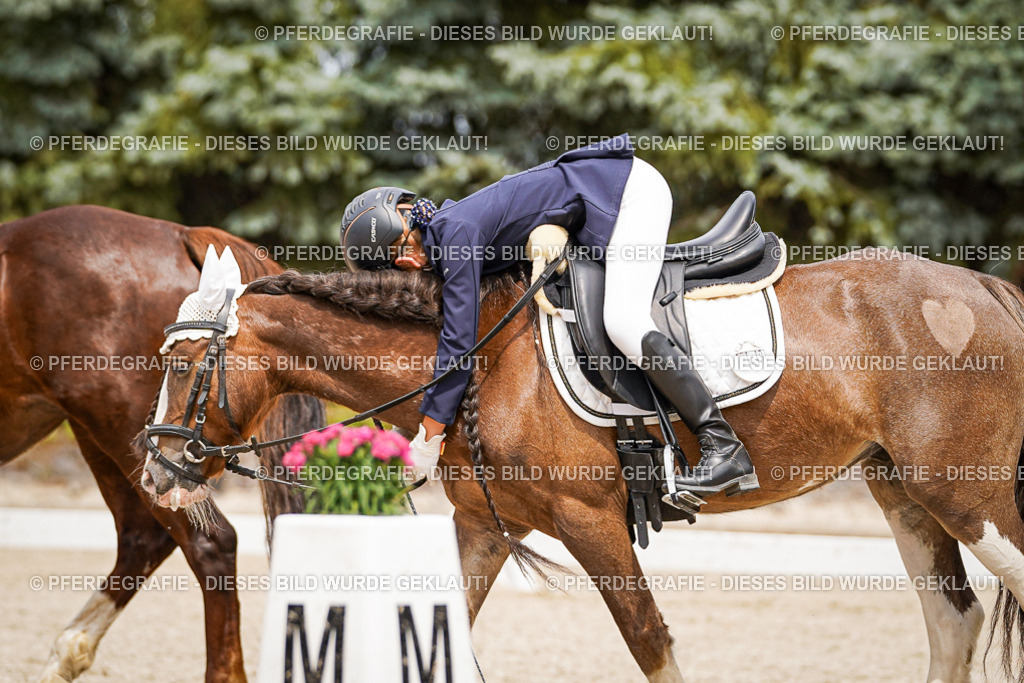 DSC04504 | Pferdegrafie