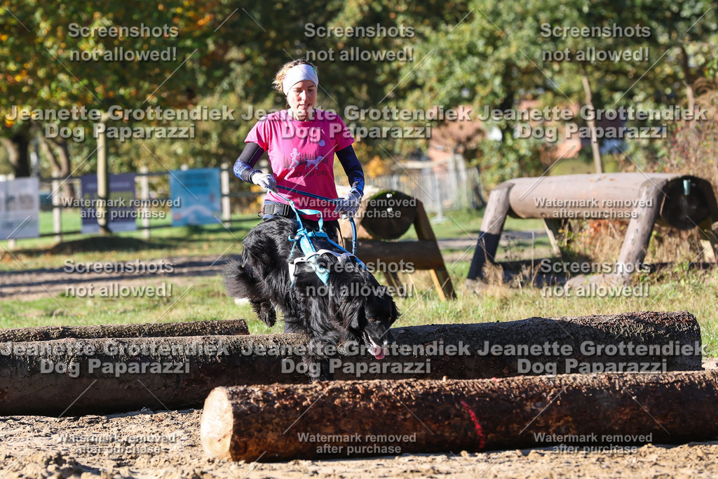 Dog Paparazzi - Strongdog 10-25-1644 | Dog Paparazzi Jeanette Grottendiek Fotografie & Videografie - Realisiert mit Pictrs.com