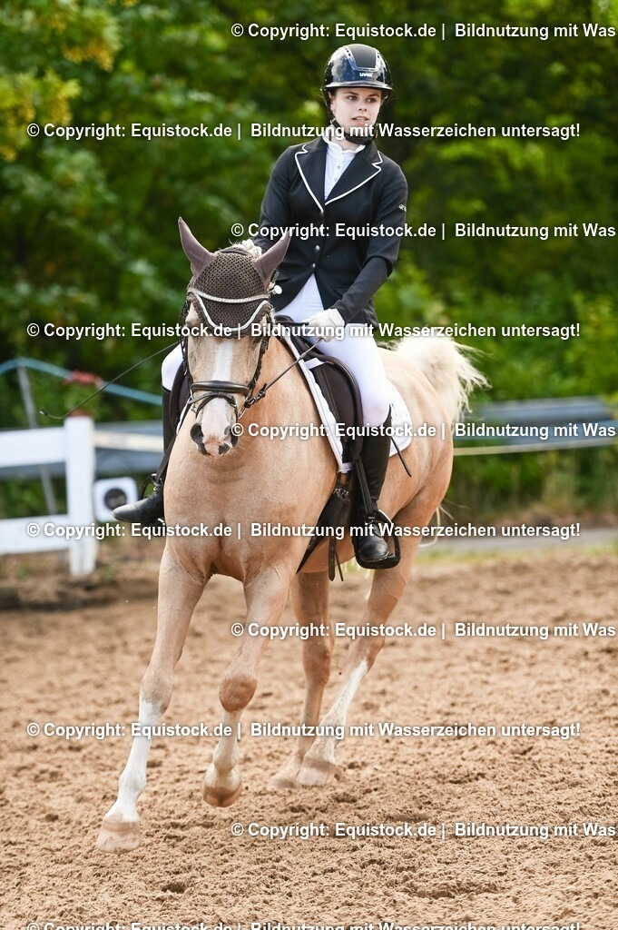 20230716_04_Dressurreiterprüfung Kl.A_0386 | equistock