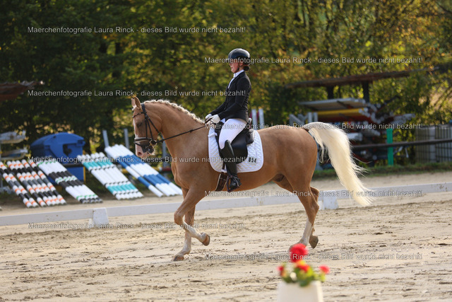 HG9A7420 | laurarinckfotografie - Realisiert mit Pictrs.com