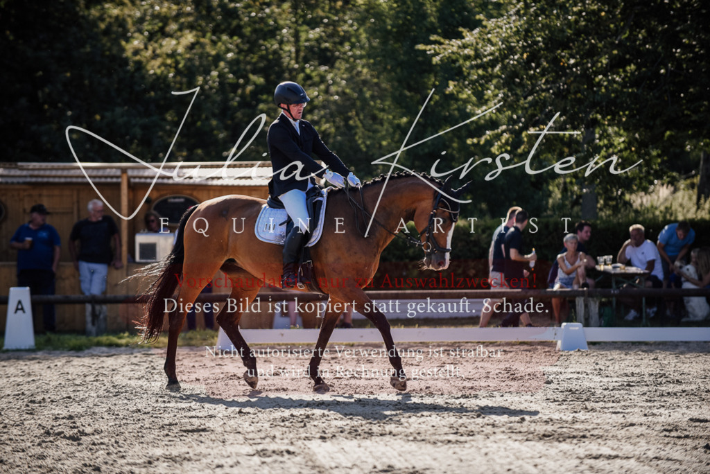 DSC_0592 | Pferde- und Turnierfotografie in Westsachsen. Pferdeportraits, Auftragszeichnungen und intuitive Kunst.