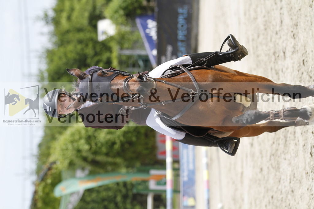 _MG_0101 | equestrian-live-com