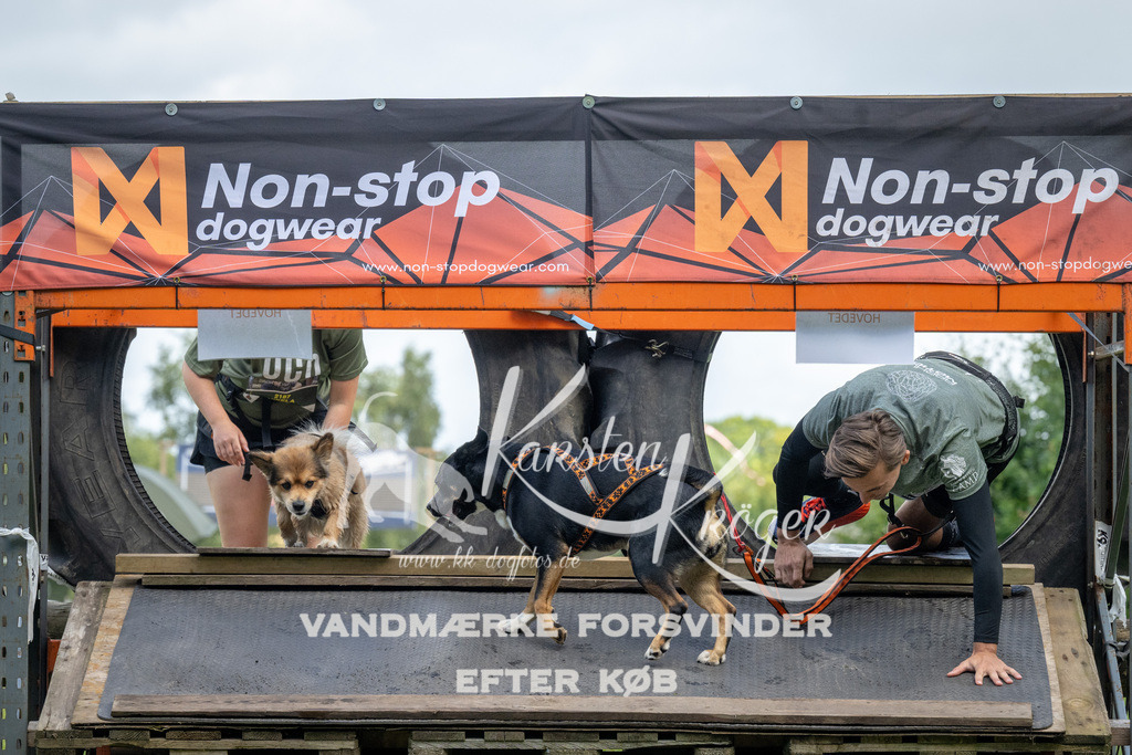 1130_ZZ92296 | kk-dogfotos