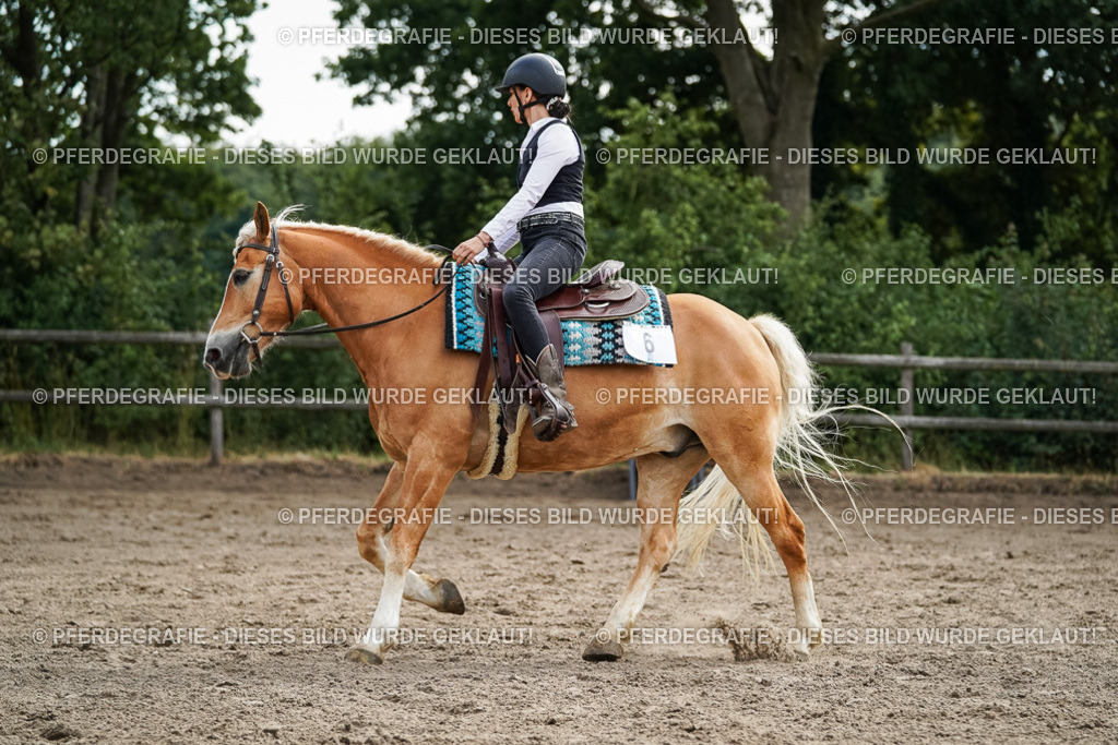 DSC03535 | Pferdegrafie