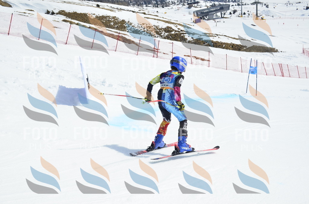 _ELE1734 | holidayphoto