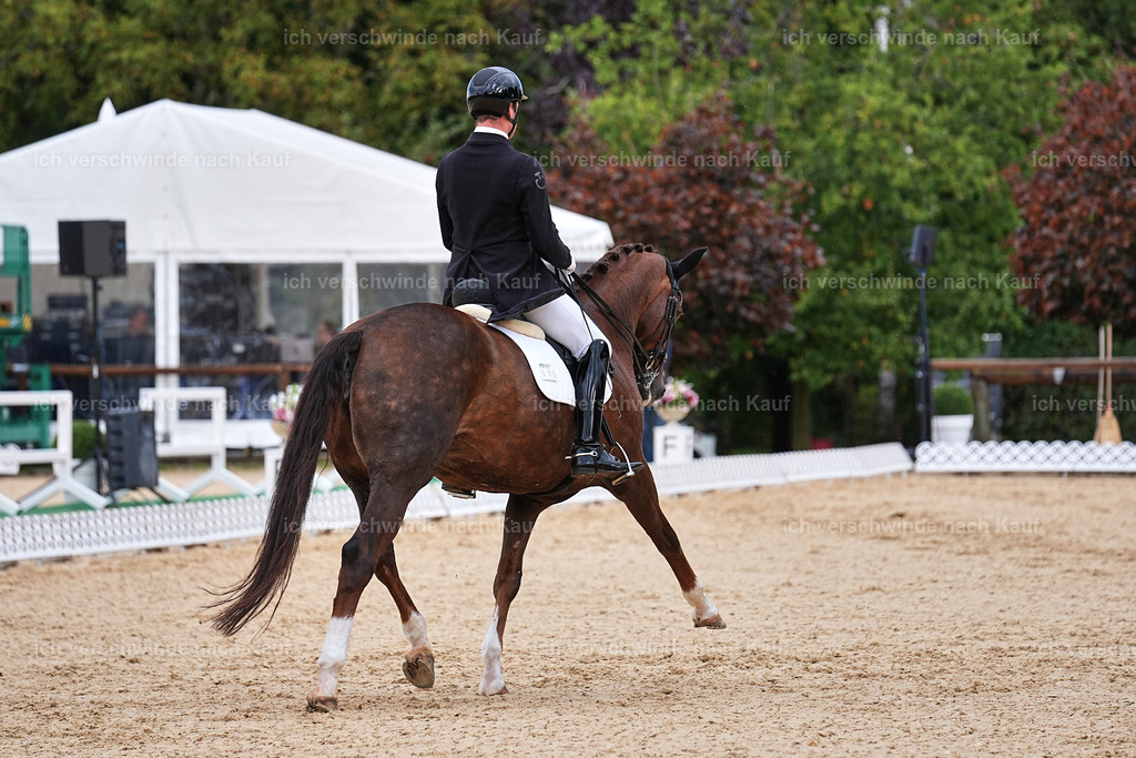 10-015-ST.GEORG SPECIAL -Marixx-3362 | working equitationturnier fotograf videograf stoibphotography marixx film working equitation deutschland reitsport turnierfotografie eventfotografie equestrian events