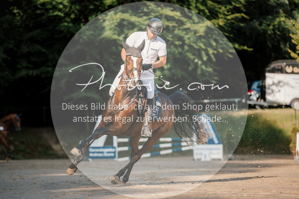 3I6A6047 | Stimmungsvolle Portraits und Reitsportfotografie im Ruhrgebiet und im Münsterland.

Pferdefotografie, Hundefotografie, Tierfotografie, Reportagen, Portraits von Tier und Mensch, Turnierfotografie in Bochum, Recklinghausen, Marl, Haltern am See, Dülmen.. - Realisiert mit Pictrs.com