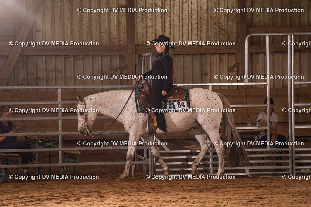 NID00219 | dv-media-shop - Realisiert mit Pictrs.com