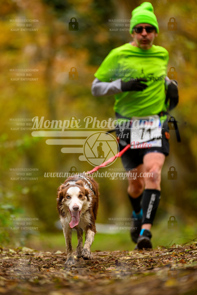 MompixPhotography_Bischwiller24_SA_Canicross-90 | PayLife