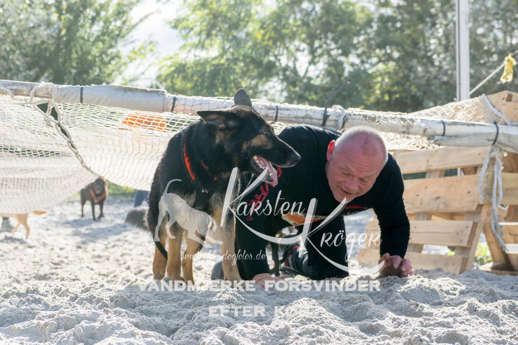 1252_ZZ94008 | kk-dogfotos