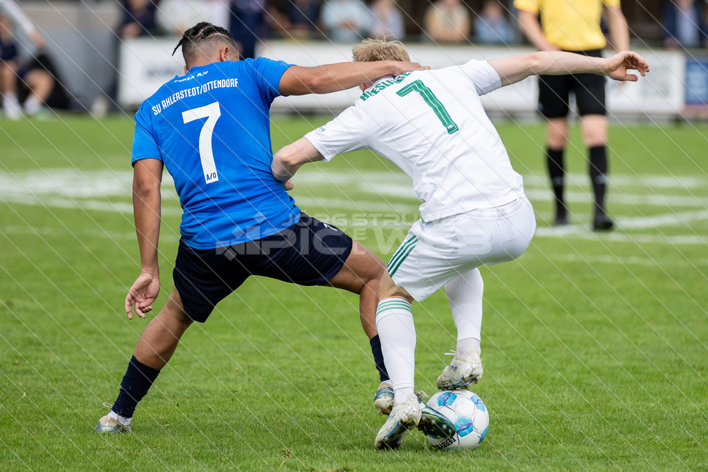 20250706_Picselweb-Fotografie_1R3_1485 | Dein Fotograf aus dem Landkreis Stade für Sport und Events - Realisiert mit Pictrs.com