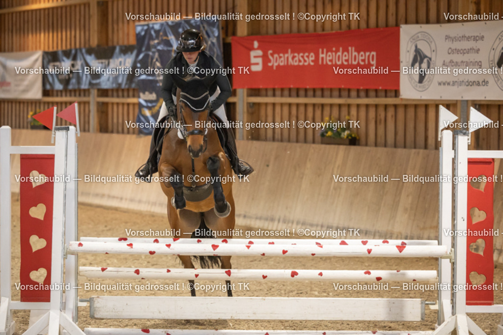 _D5A7062 | Emotionale Pferde- & People-Fotografie rund um Heidelberg, Leimen & Umgebung. Natürliche Fotos von Pferd, Mensch & Familie. Jetzt Termin sichern!