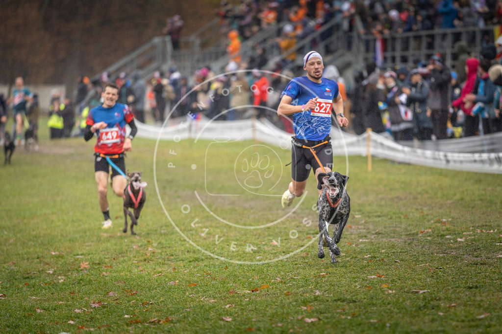 CaniXpix_DV3A9669 | Hundefotografie, Tierfotograf, Pfotenfotografie, Fotoshooting Hund, Hunde Portrait, Hundesport, Hundeportraits, Heideshooting, Hunde, Sportfotograf, Hundefotograf, Turnierhundsport, THS,  - Realisiert mit Pictrs.com