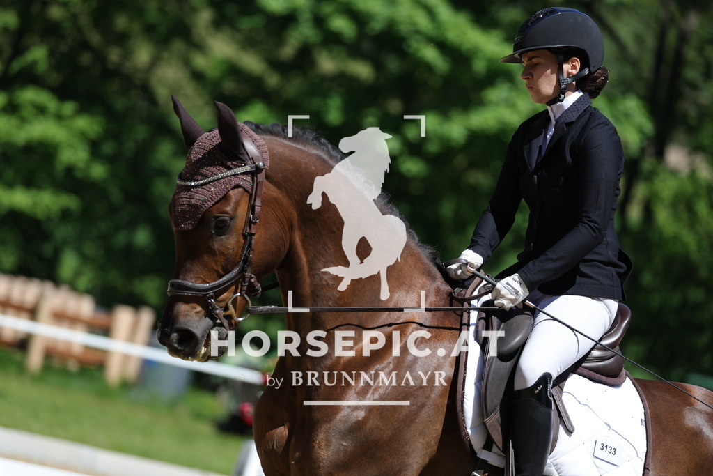 0P6A0957 | Willkommen bei Brunnmayr - Design & Fotografie – Ihrem Spezialisten für Reitturniere und Pferdeveranstaltungen in Oberösterreich, Salzburg und Bayern! Seit über 17 Jahren sind wir leidenschaftlich dabei.