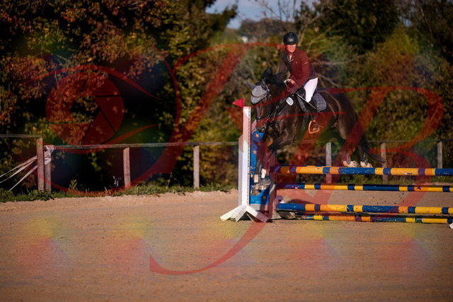 2026_10_03_Siefer-Hof_171914_Z81_17358675 | Professionelle Reitsport-, Turnier- und Eventfotografie von Robert Broda. Galerien mit ausgewählten und bearbeiteten Bildern direkt online ansehen und bestellen.