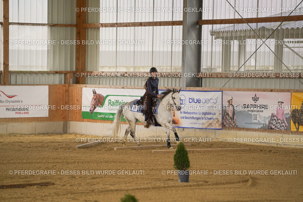 DSC05494 | Pferdegrafie