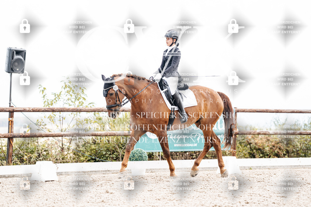 CK900861 | Turnierfotografie Pferdefotografie Trier Rheinland-Pfalz Pferdesport Reitsport Tierfotografie Sportfotografie Pferdevideo Pferdevideografie Equestrianvideography equestrianphotography  - Realisiert mit Pictrs.com