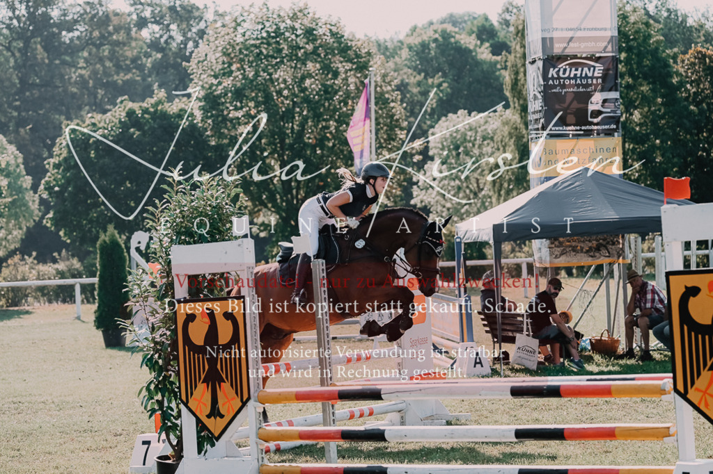 DSC_4675 | Pferde- und Turnierfotografie in Westsachsen. Pferdeportraits, Auftragszeichnungen und intuitive Kunst.