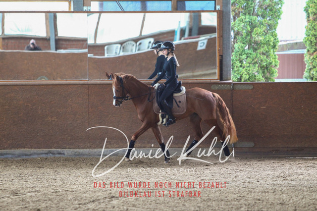 DKP42578 | Turniersportfotografie; Pferdefotografie; Dressurfotografie