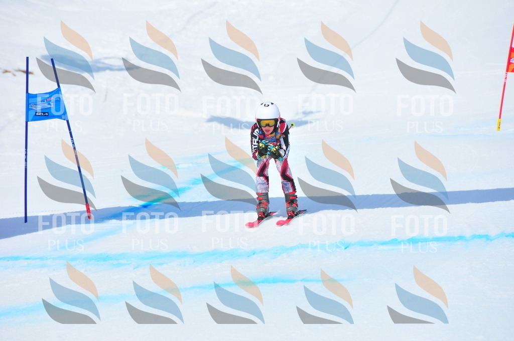 DSC_6856 | holidayphoto