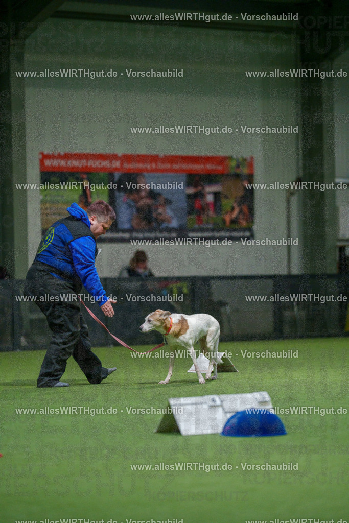 7R504529 | Professionelle Tierfotografie in Mönchengladbach von Daniel Wirth (allesWIRTHgut). Liebevolle & natürliche Bilder von Hunden & Katzen für unvergessliche Erinnerungen.