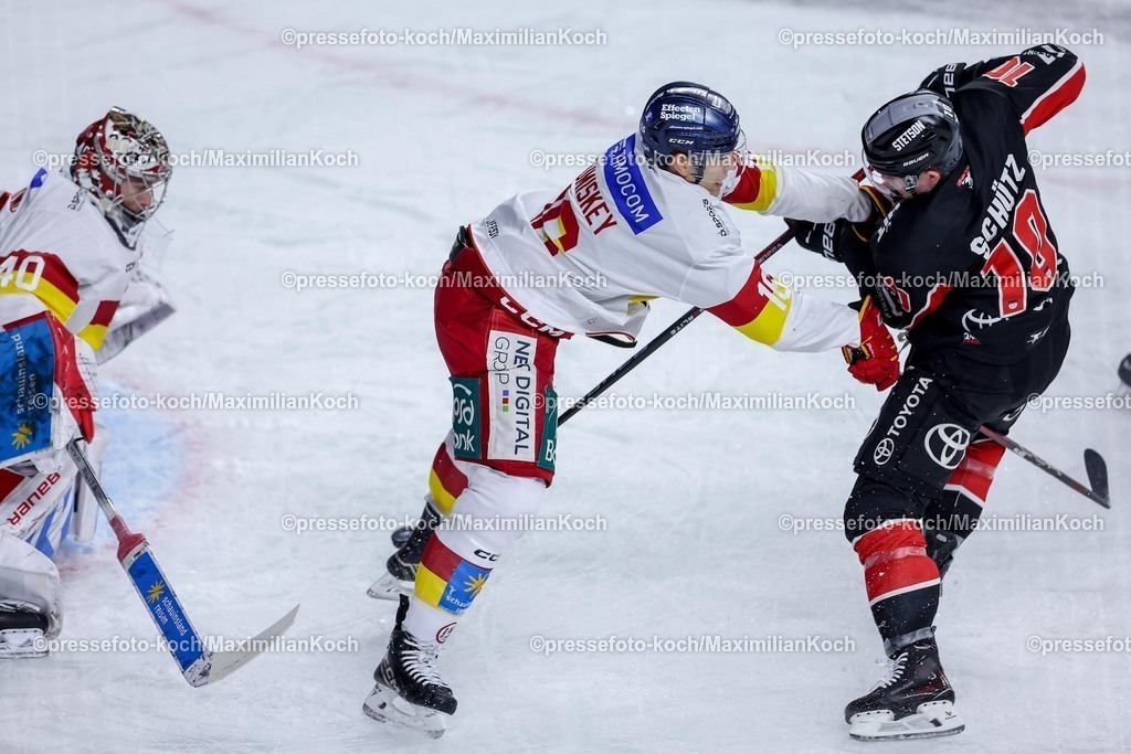 KEC16022501025 | 16.02.2025, Eishockey, DEL, Kölner Haie - Düsseldorfer EG, Lanxess-Arena Köln: Kyle Cumiskey (DEG #16) im Zweikampf gegen Justin Schütz (Kölner Haie #10)