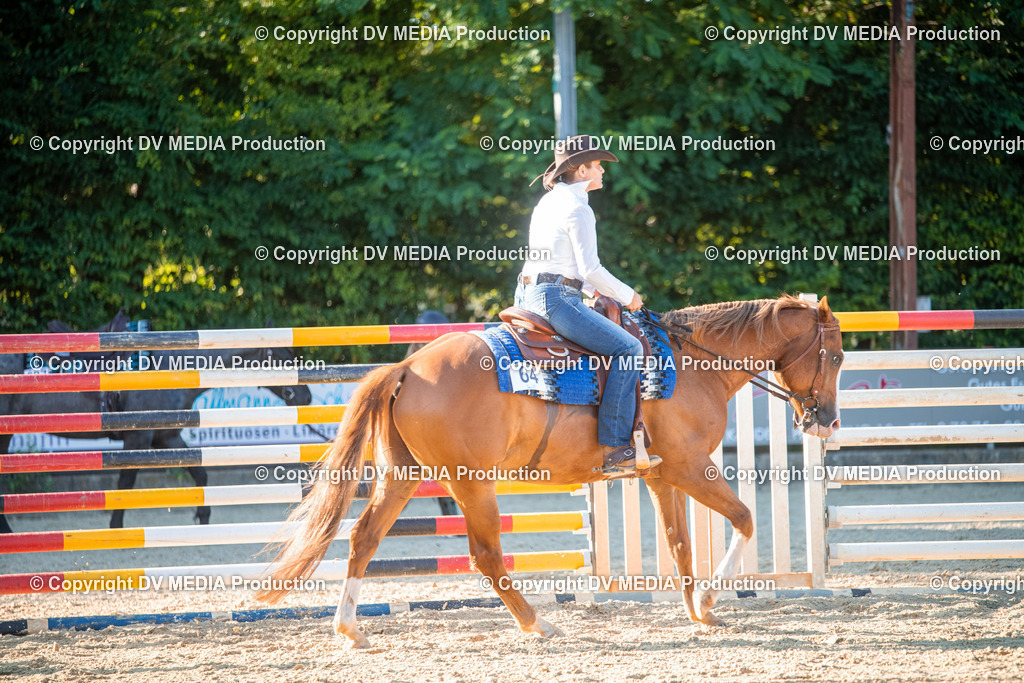 EWP_7213 | dv-media-shop - Realisiert mit Pictrs.com