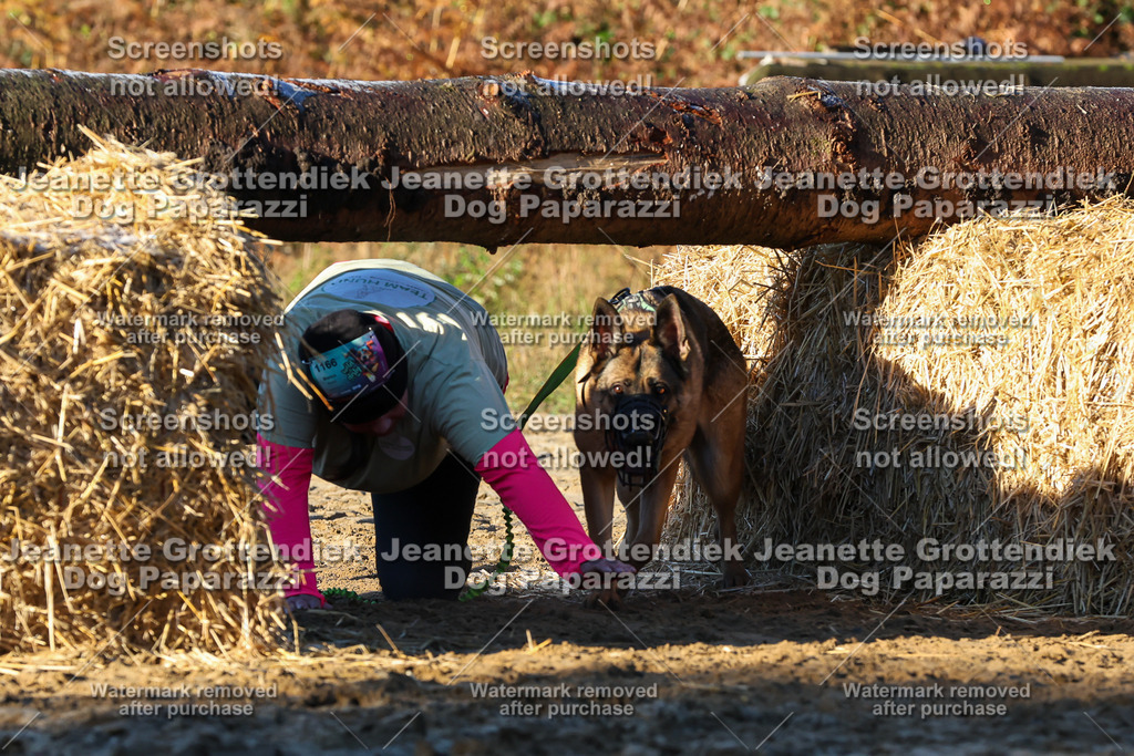 Dog Paparazzi - Strongdog 10-25-897 | Dog Paparazzi Jeanette Grottendiek Fotografie & Videografie - Realisiert mit Pictrs.com