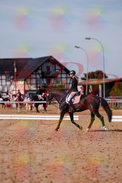 2026_10_03_Siefer-Hof_115442_Z81_94261568 | Professionelle Reitsport-, Turnier- und Eventfotografie von Robert Broda. Galerien mit ausgewählten und bearbeiteten Bildern direkt online ansehen und bestellen.