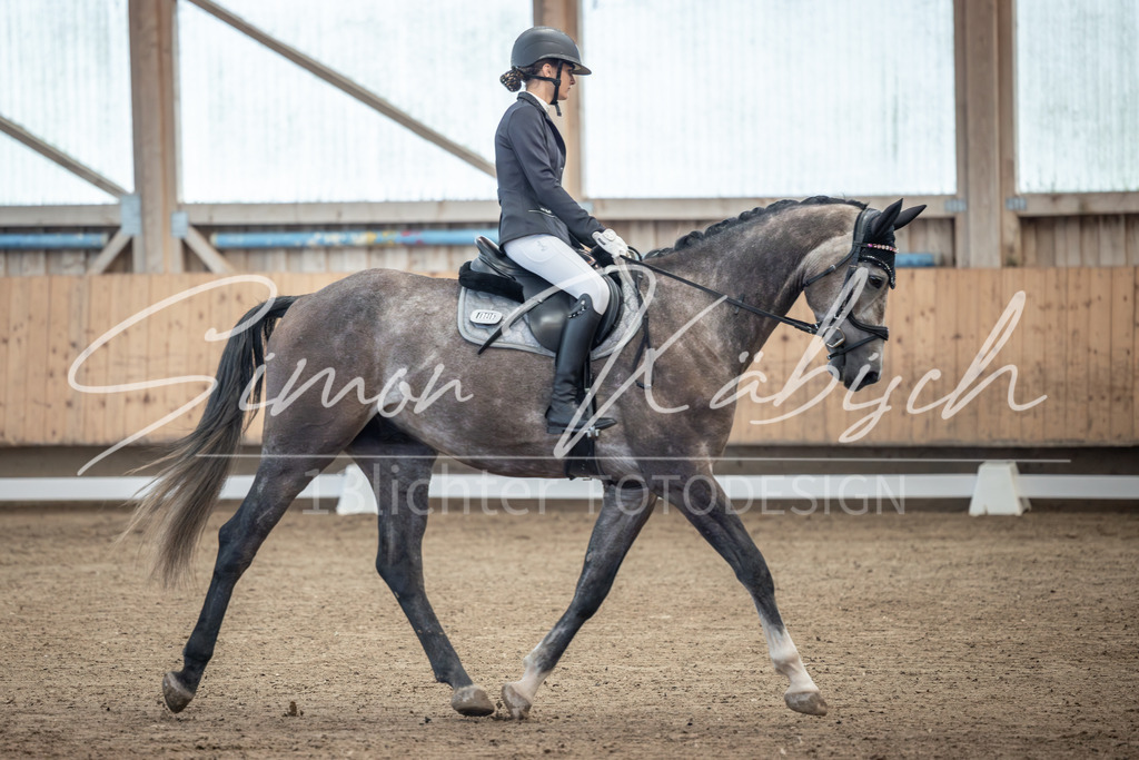 20251011-_3LI7575 | Tierfotografie Pferde, Hunde, Katzen, Haustiere.
Turnierfotografie Reitturniere, Reiten, Springreiten, Dressur in Hanau, dem Main-Kinzig-Kreis und dem Rhein-Main- Gebiet um Frankfurt
