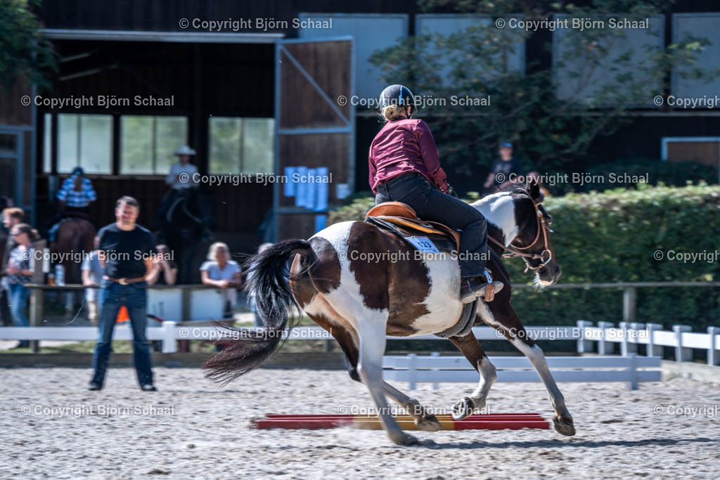 HOB08997 | BS-foto