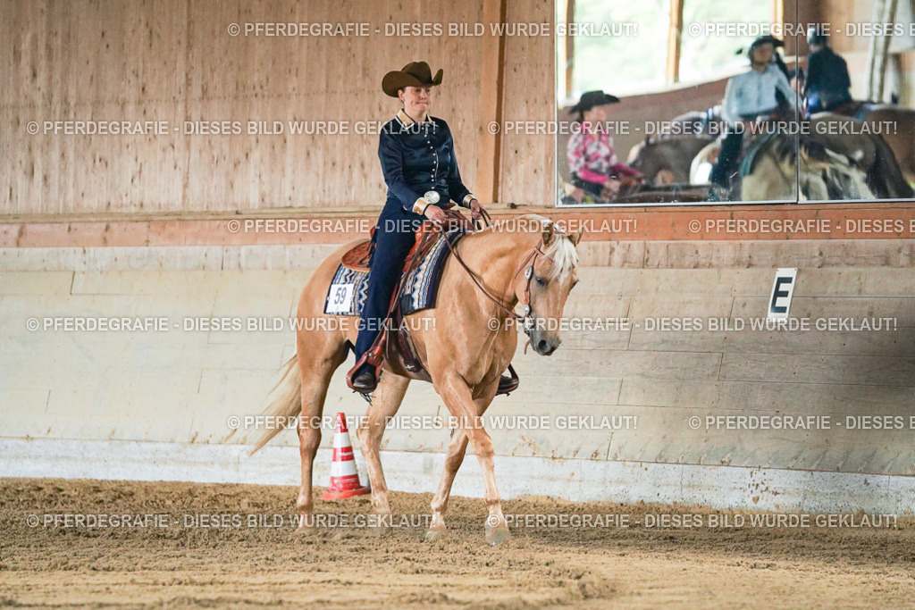 DSC05187 | Pferdegrafie