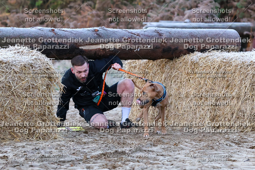 Dog Paparazzi - Strongdog 10-25-91 | Dog Paparazzi Jeanette Grottendiek Fotografie & Videografie - Realisiert mit Pictrs.com