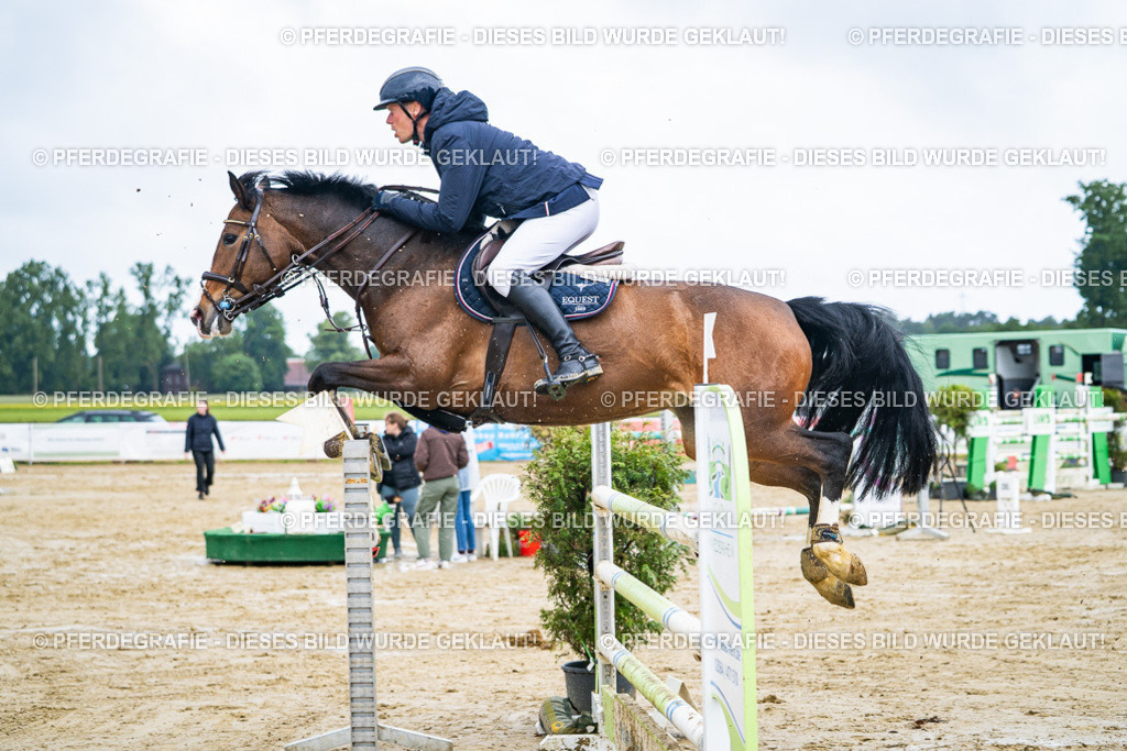 DSC03812 | Pferdegrafie