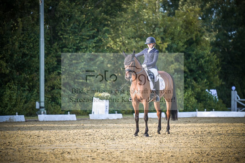 DOS_1834 | Entdecke hochwertige Reitturnierfotos von Foto Oger. Professionell, emotional und authentisch – jetzt Lieblingsmomente im Shop bestellen.Deutschlandweite Turnierfotografie. - Realisiert mit Pictrs.com