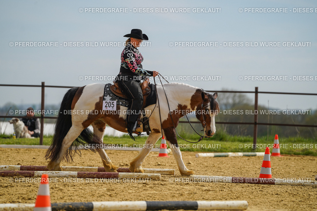 DSC02143 | Pferdegrafie