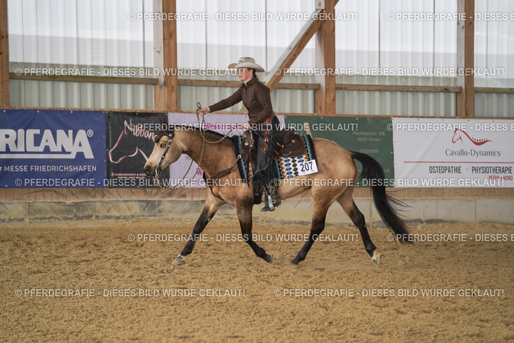 DSC00220 | Pferdegrafie