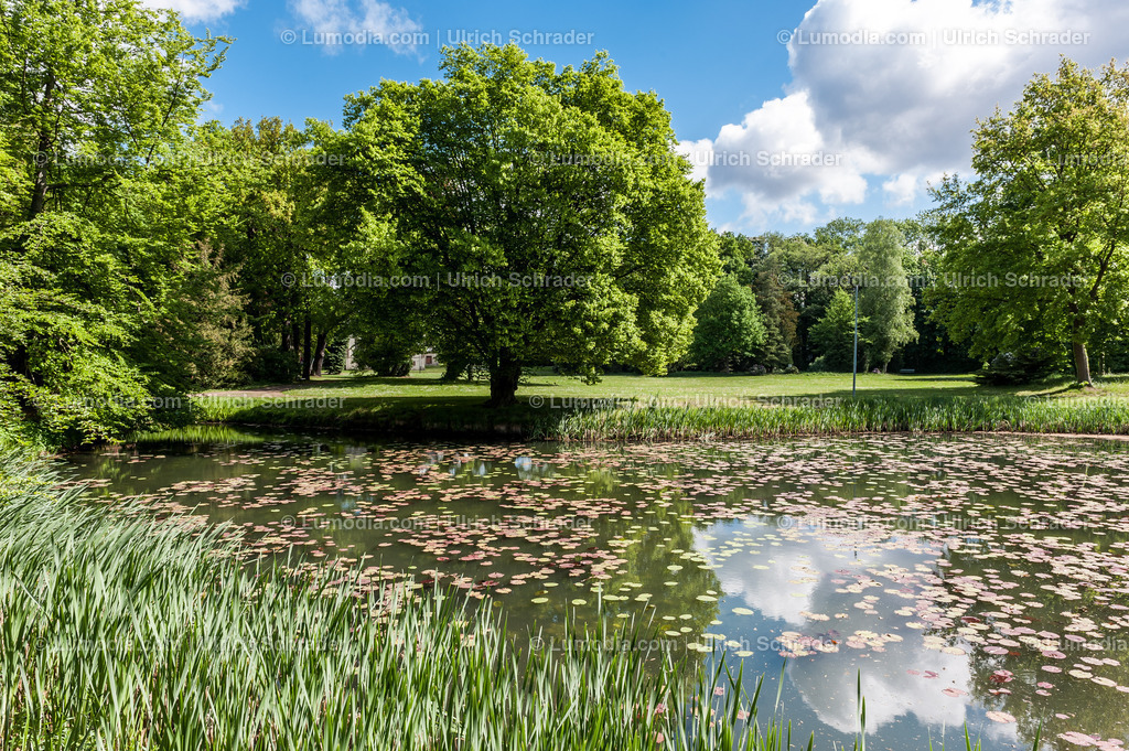 10049-1628 - Stadtpark Tangerhütte | Stockfoto und Bilderpool mit Bildmaterial aus Deutschland, dem Harz, Halberstadt, Quedlinburg, Wernigerode und weltweit. Qualitativ hochwertige und professionelle Fotos anschauen und kaufen. - Realisiert mit Pictrs.com